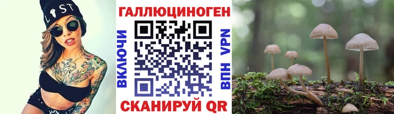 Галлюциногенные грибы ЛСД  гидра ONION  Суздаль 